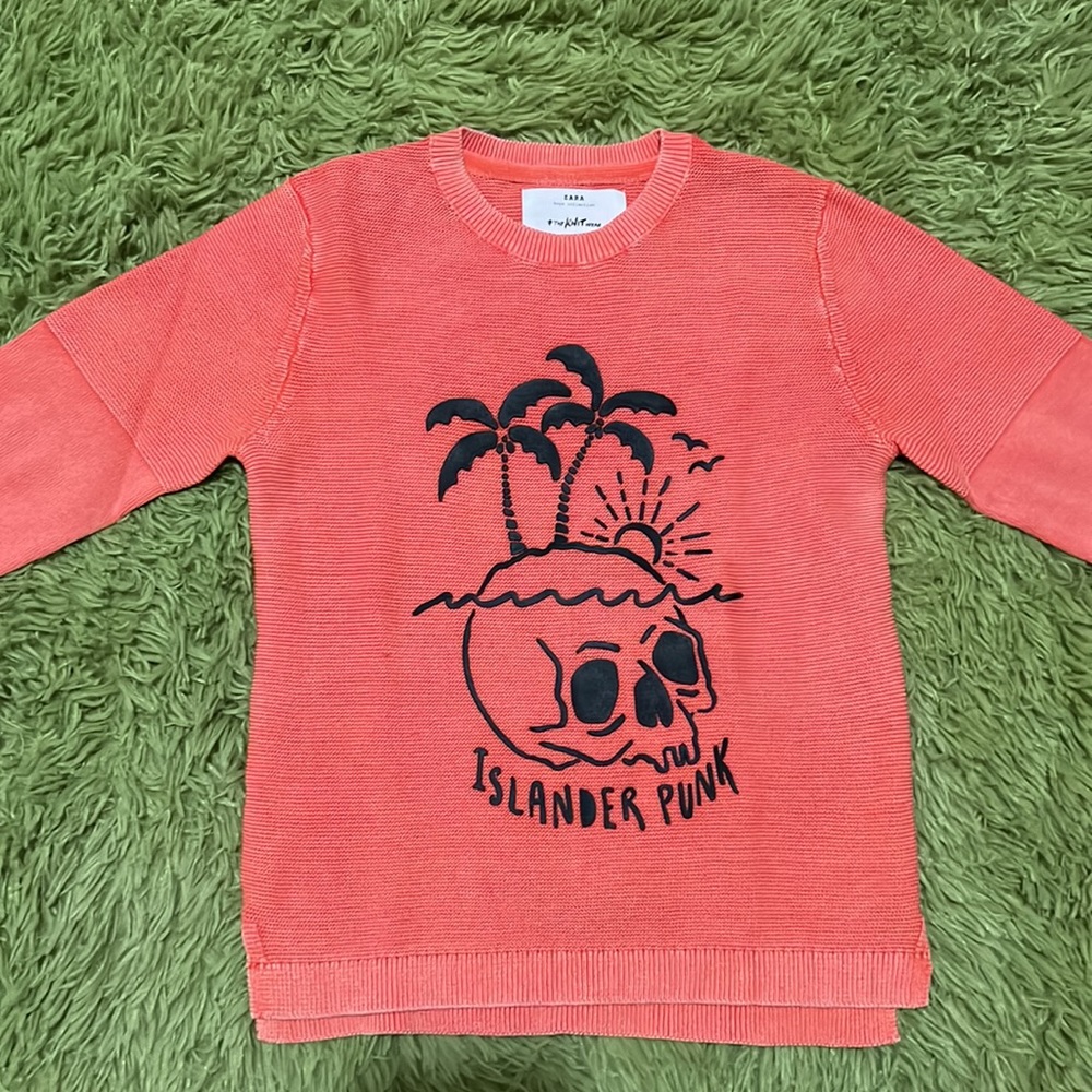 Cute ZARA sweater for a boy size 5, like new.